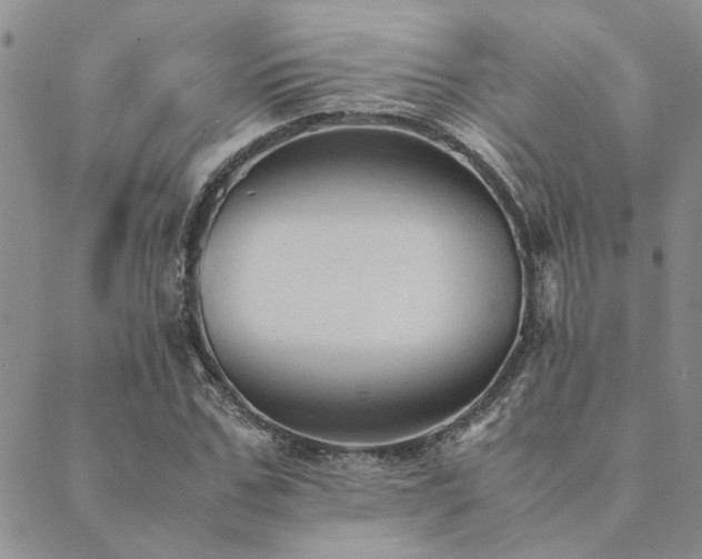 X0000089710971200706211339