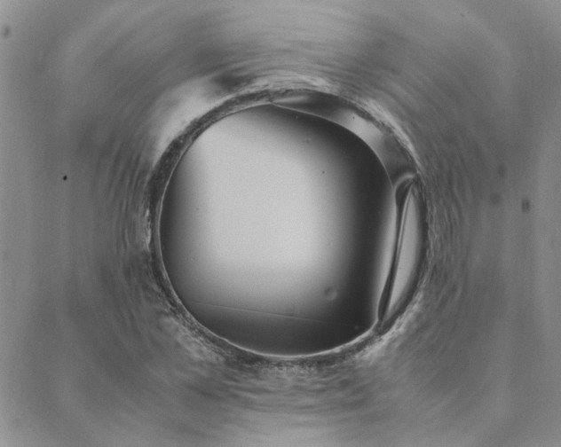 X0000089710973200706211339