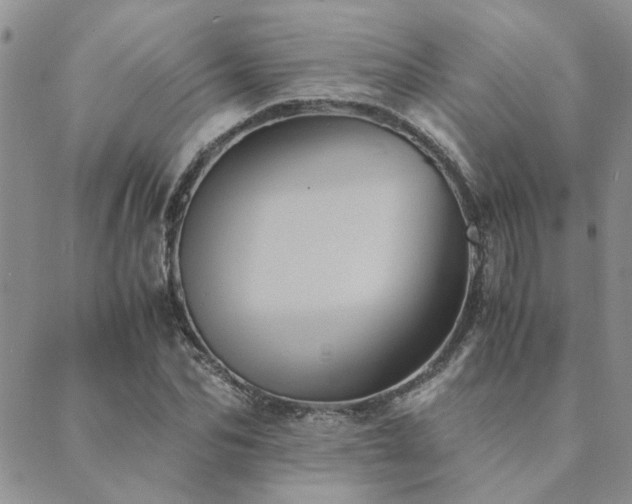 X0000089710974200706211339