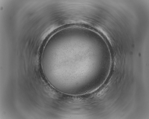 X0000089710975200706211339