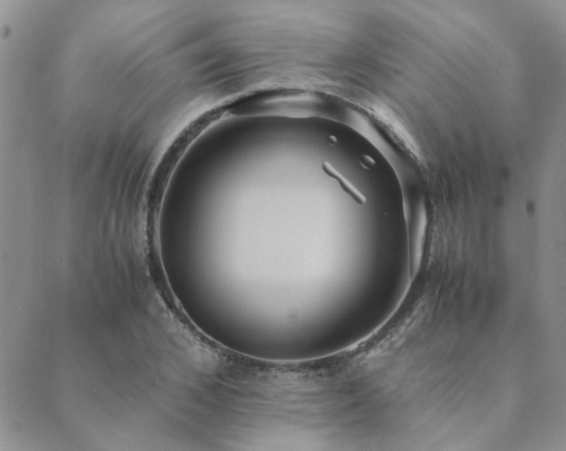 X0000089710976200706211339