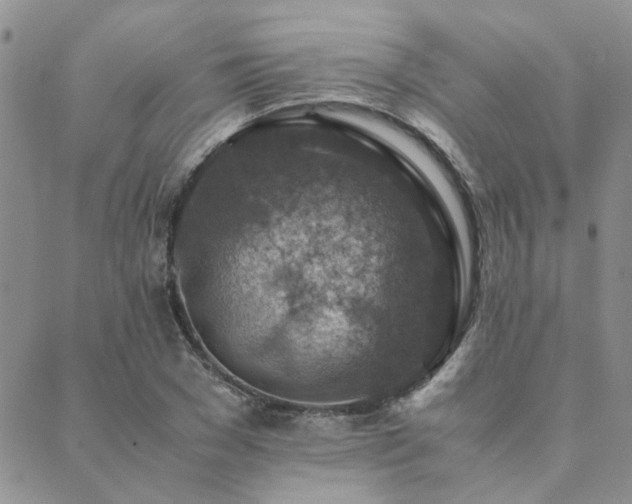 X0000089710977200706211339