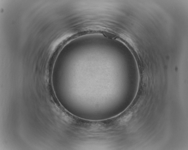 X0000089710979200706211339