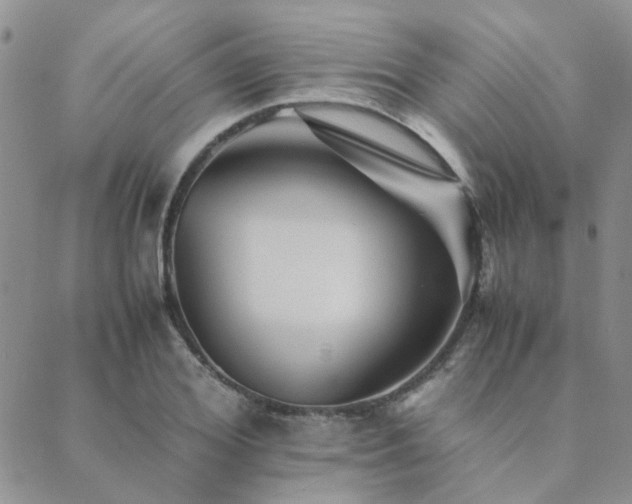 X0000089710980200706211339