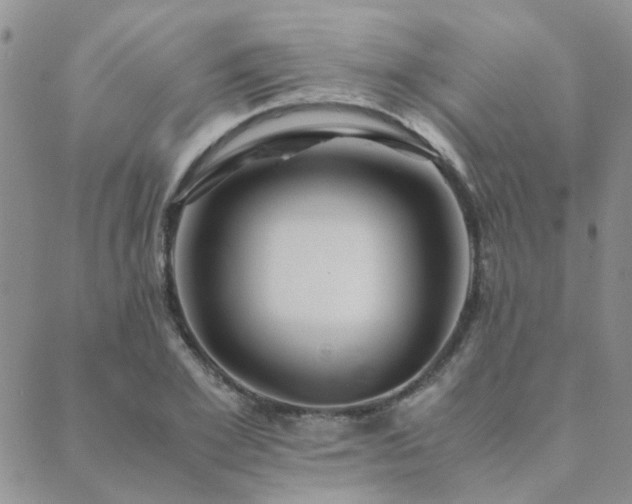 X0000089710981200706211339