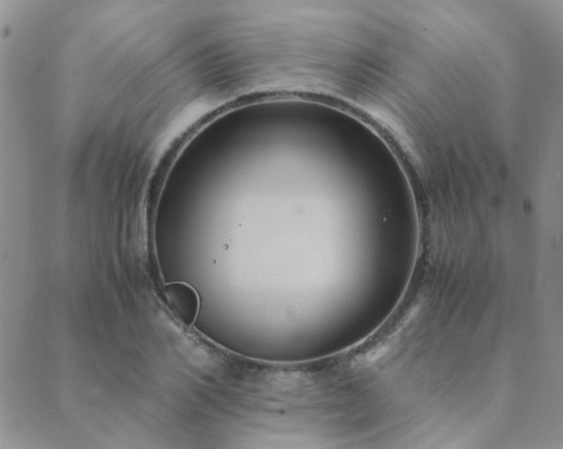 X0000089710982200706211339