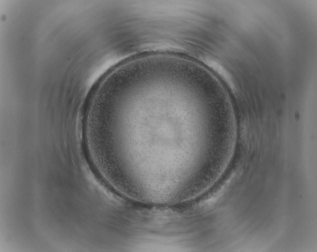 X0000089710983200706211339