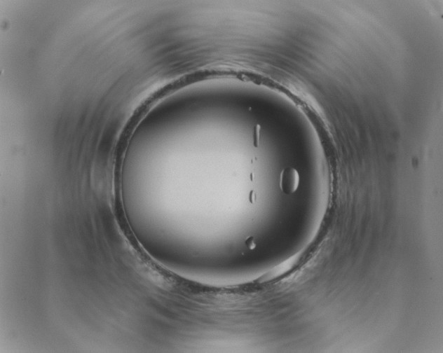 X0000089710984200706211339