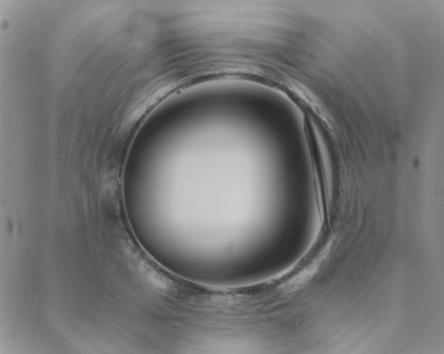 X0000089710985200706211339