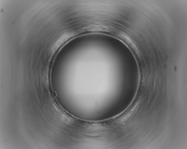 X0000089710986200706211339