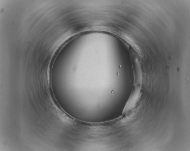 X0000089710988200706211339