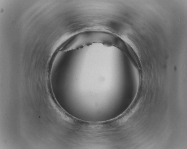 X0000089710989200706211339