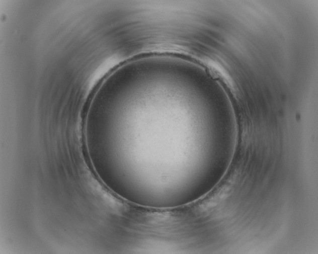 X0000089710990200706211339