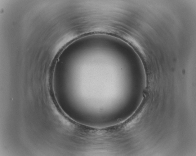 X0000089710991200706211339