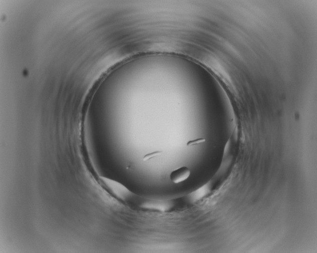 X0000089710992200706211339