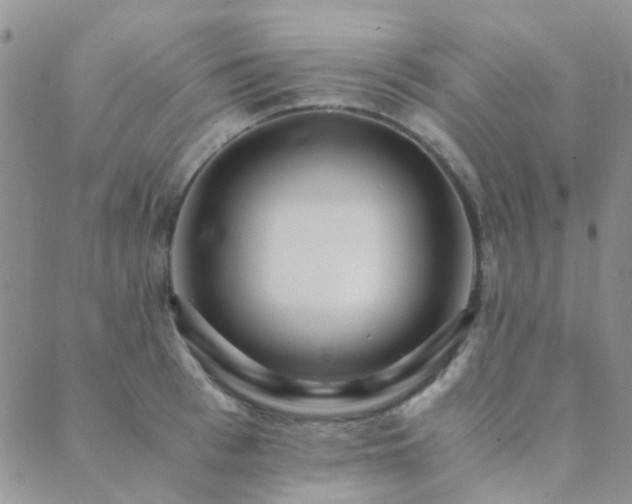 X0000089710993200706211339