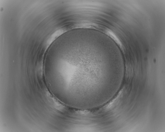 X0000089710994200706211339