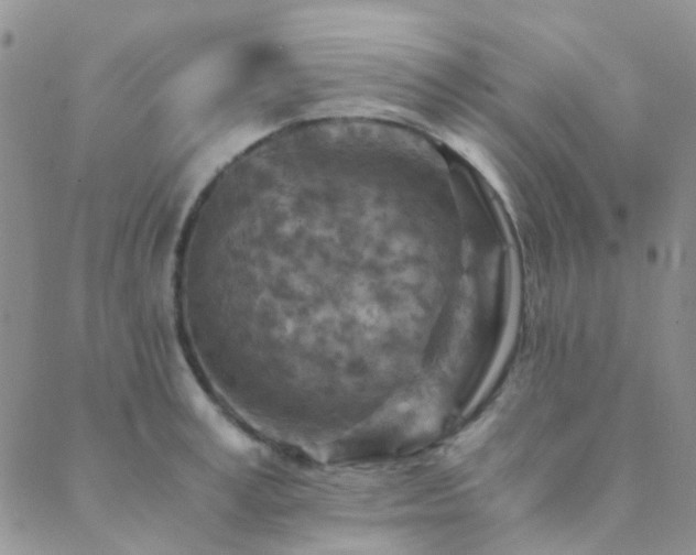 X0000089710995200706211339