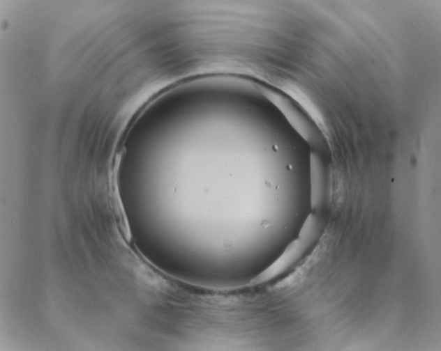 X0000089710996200706211339