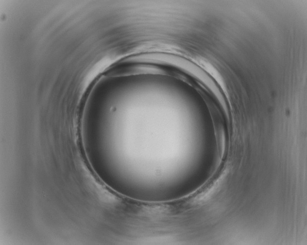 X0000089710997200706211338