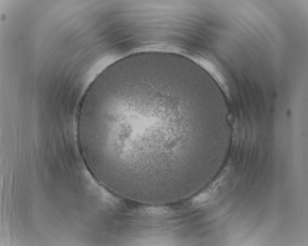 X0000089710998200706211338