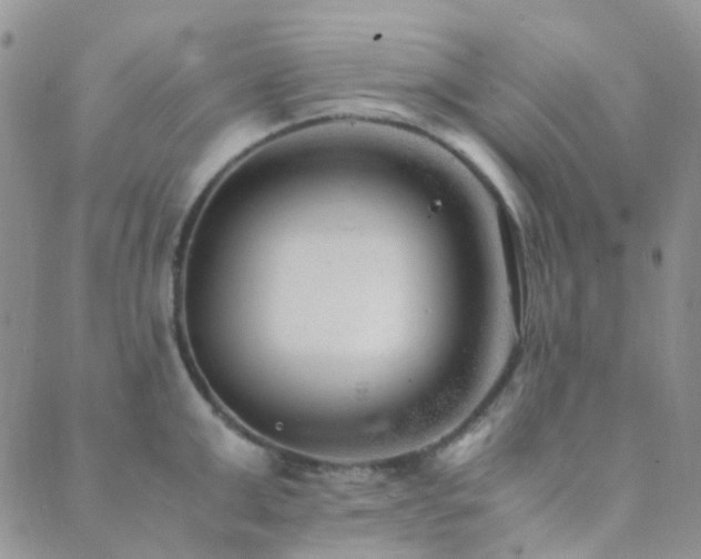 X0000089710999200706211338