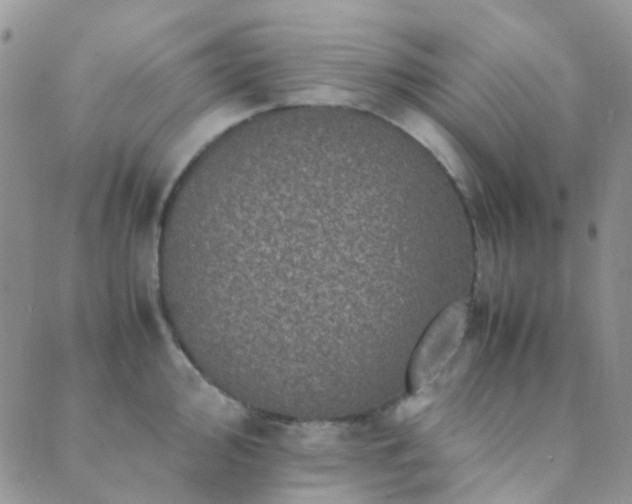 X0000089711000200706211338