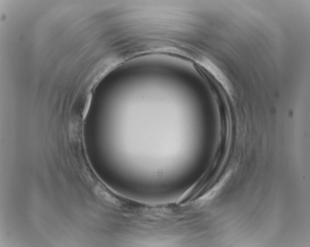 X0000089711001200706211338