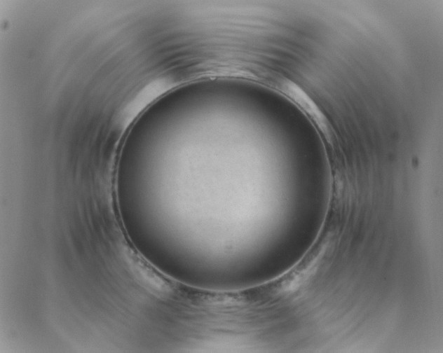 X0000089711002200706211338