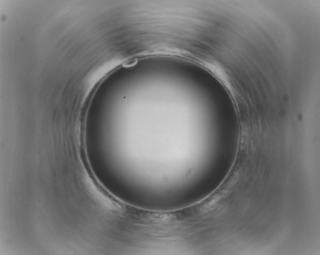 X0000089711003200706211338