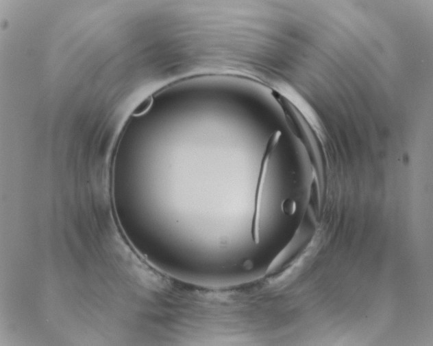 X0000089711004200706211338