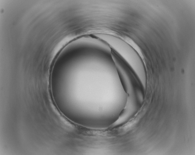 X0000089711005200706211338