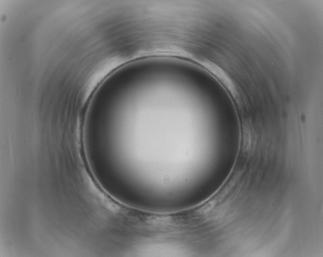 X0000089711006200706211338