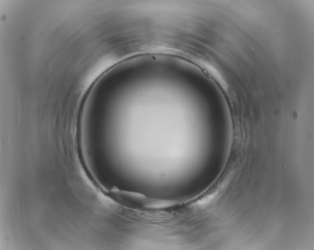 X0000089711007200706211338