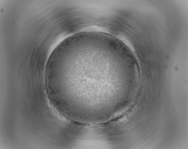 X0000089711008200706211338