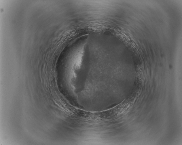 X0000089711009200706211338