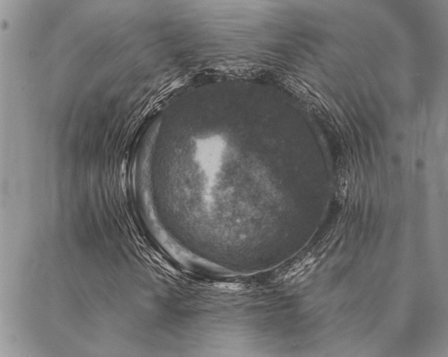 X0000089711010200706211338