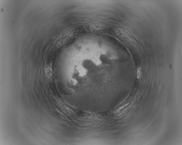 X0000089711011200706211338