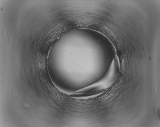 X0000089711012200706211338