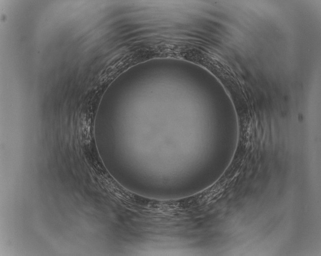 X0000089711013200706211338