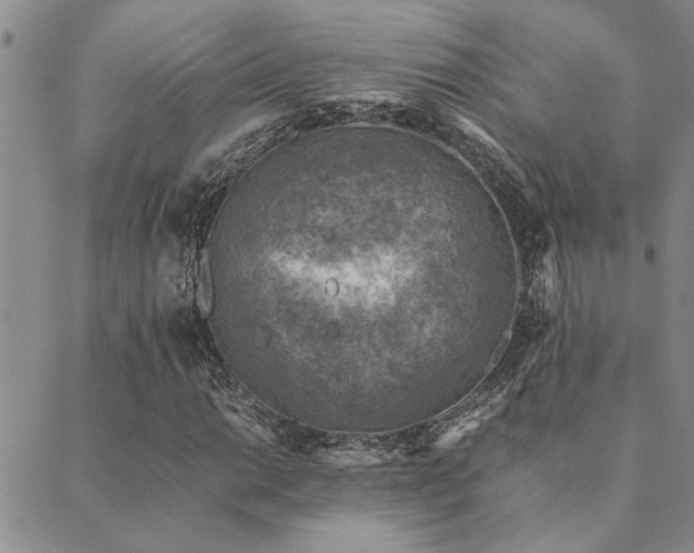 X0000089711014200706211338