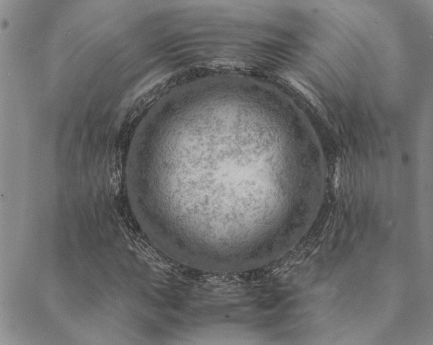 X0000089711015200706211338