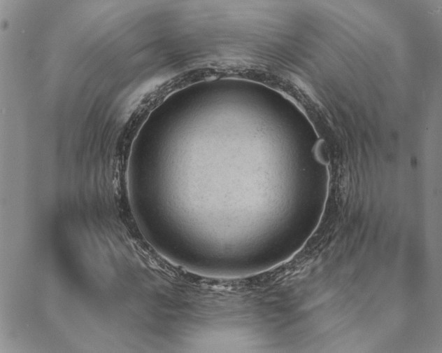 X0000089711016200706211338