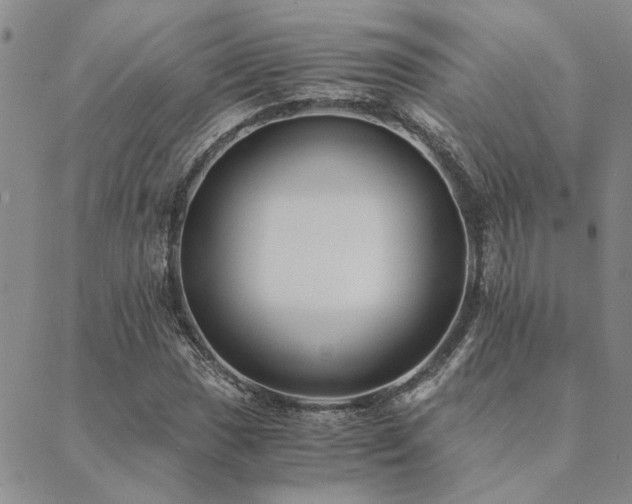 X0000089711017200706211338