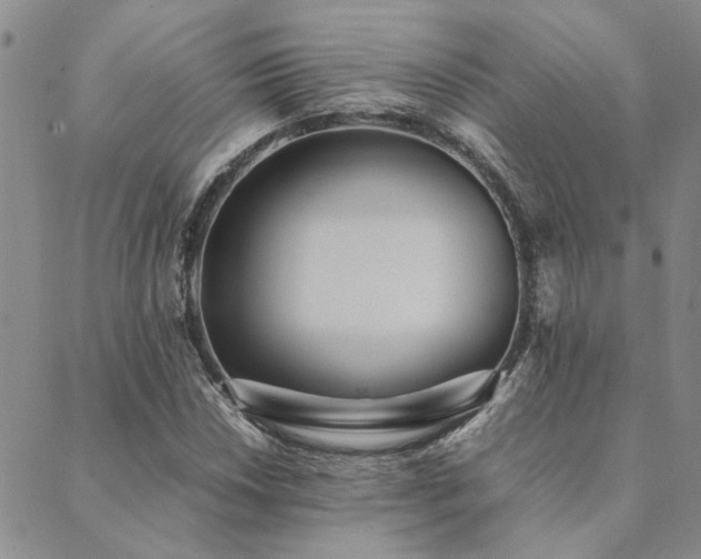 X0000089711018200706211338