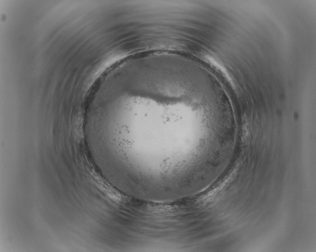 X0000089711019200706211338