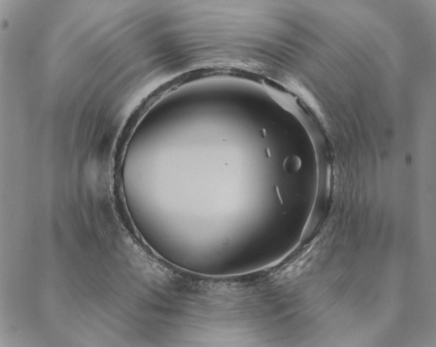 X0000089711020200706211338