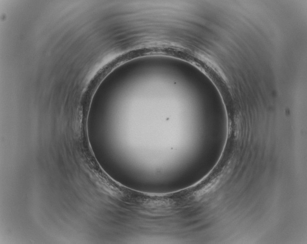 X0000089711021200706211338