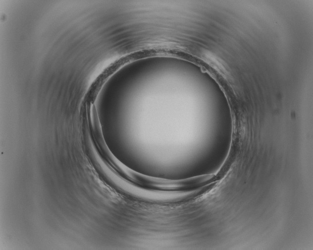 X0000089711022200706211338