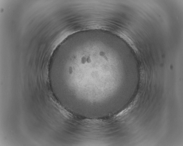 X0000089711023200706211338